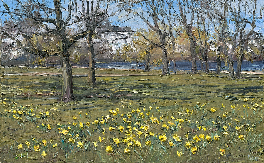 Narzissen an der Alster - VERKAUFT -