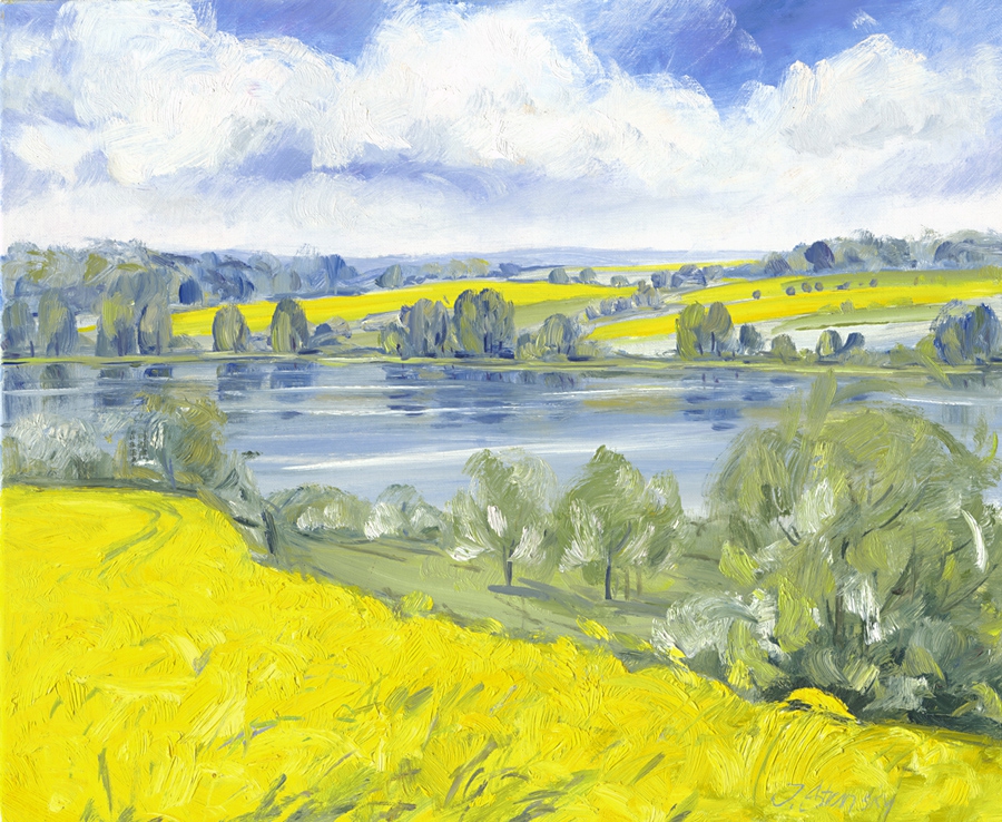 Rapsfelder am See