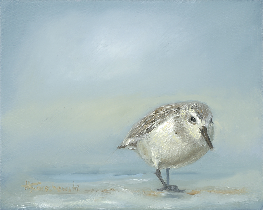 Strandläufer 5 -VERKAUFT-