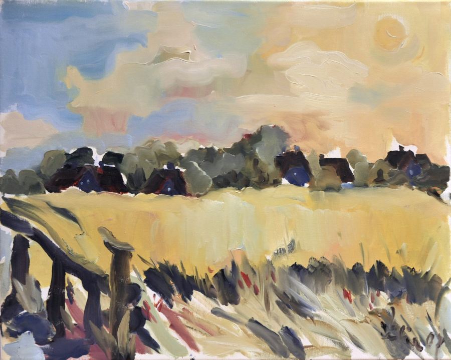 Rapsfeld bei Archsum, Sylt