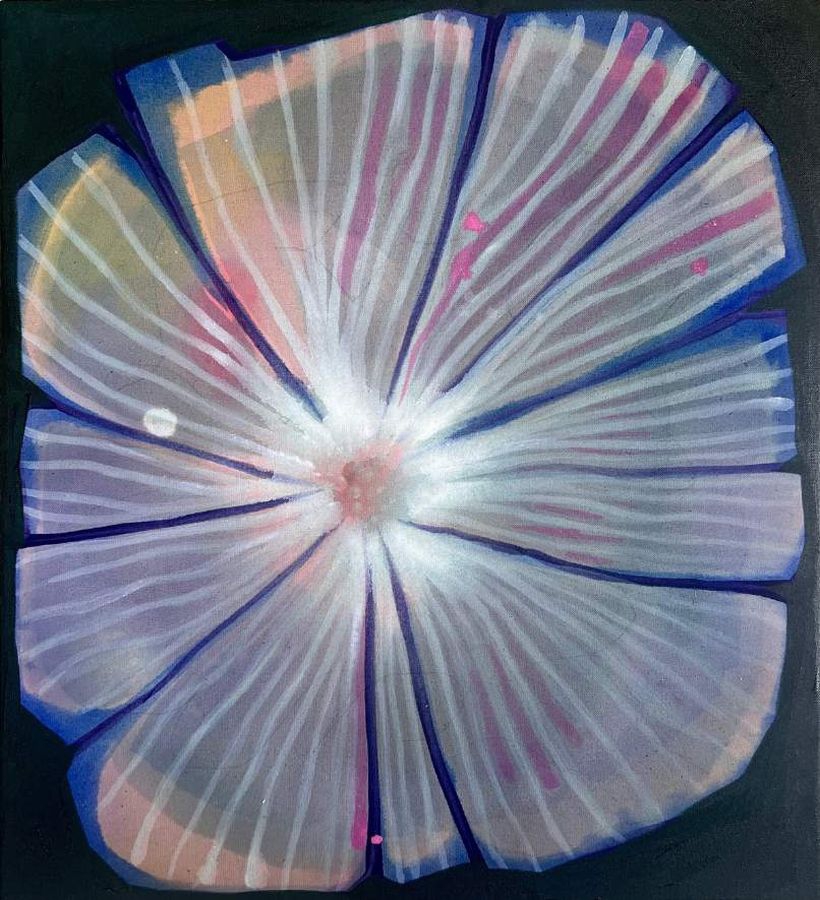 Moonflower / Mohn im Mondlicht