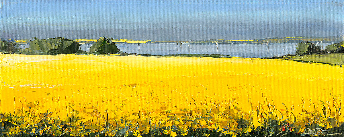 Rapsfelder am See -VERKAUFT-