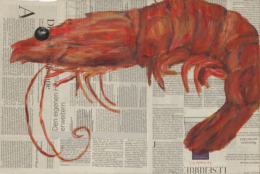 Shrimp