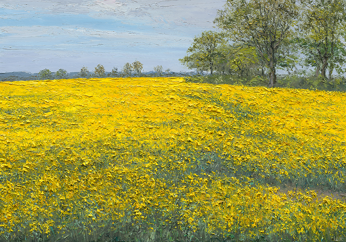 Rapsfeld