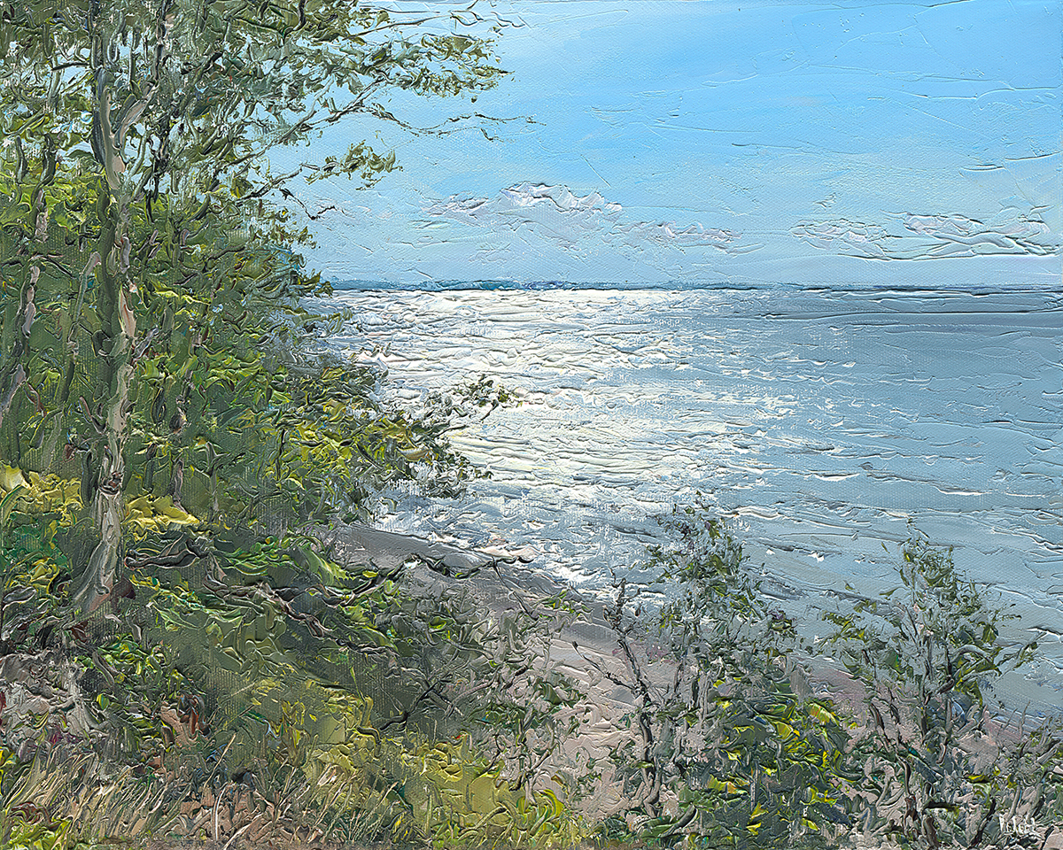 Ostsee bei Groß Schwansee -VERKAUFT-